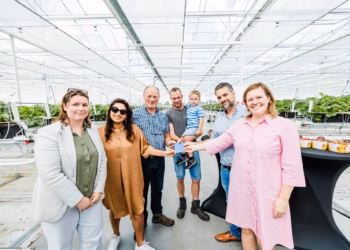 Aardbeienbedrijf Vermeiren zet toon met duurzaam waterbeheer dankzij waterpaspoort