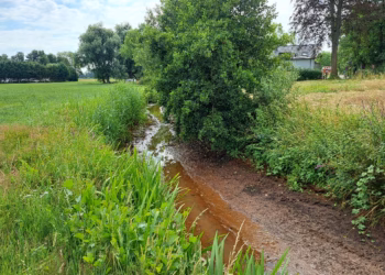 Beperkte uitbreiding van het tijdelijk onttrekkingsverbod voor onbevaarbare waterlopen