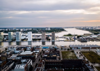 Blauwalgen in Stadshaven Antwerpen