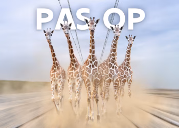 ‘Een tientonner stopt niet zomaar’: De Lijn vraagt oplettendheid bij oversteken van tramsporen