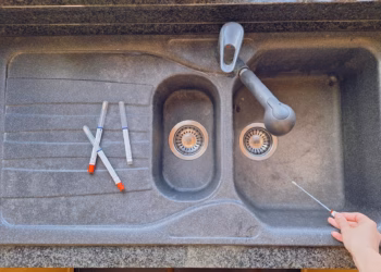 UAntwerpen-wetenschappers zijn nieuwsgierig naar het leven in jouw ‘poembak’