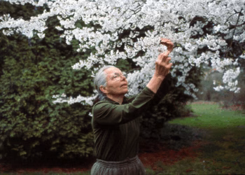 Arboretum Kalmthout eert plantenvrouw Jelena Kovačič-De Belder met Herinneringsweek