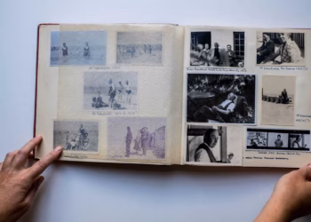 Letterenhuis in Antwerpen onthult ware verhaal achter Willem Elsschots Tsjip en De Leeuwentemmer