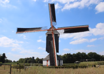 Op bezoek bij de molenaar tijdens de provinciale Molenzondag