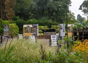 Succesvolle expo ‘Uit de kolen’ een maand langer te bewonderen in Arboretum Kalmthout
