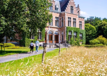 Vier mee: 50 jaar Vrieselhof op 24 augustus