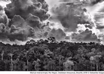 Amazônia x Greenpeace: een weekend in het teken van de Amazone en het klimaat