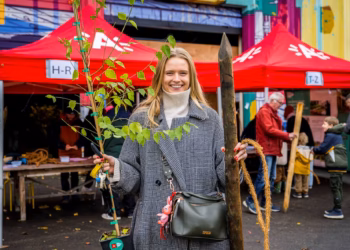 Antwerpenaren kunnen opnieuw gratis boom bestellen voor eigen tuin