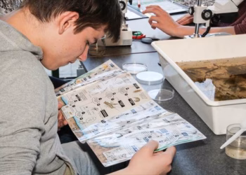 Droogte laat sporen na in de PIME-vijver