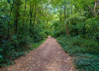 Eerste beheerwerken in Molenbos Nijlen van start