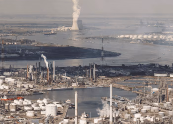 Leerstoel moet leiden tot efficiëntere douane