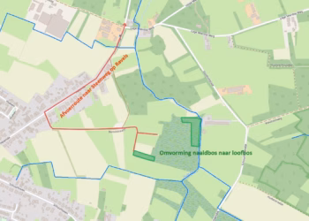 Provincie vormt ziek naaldbos om tot klimaatrobuust loofbos in Oud-Turnhout