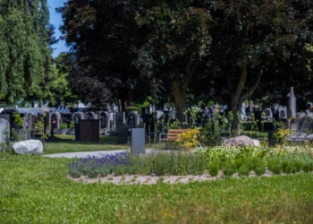 Stad Antwerpen opent ‘Tuin van Troost’ op begraafplaats Silsburg