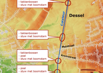 De provincie Antwerpen pakt verdroging Colateur in Dessel aan met natuurlijke drempels en poelen