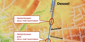 De provincie Antwerpen pakt verdroging Colateur in Dessel aan met natuurlijke drempels en poelen