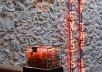 Koen Vanmechelen presenteert dertigste kipkruising in het Baskenland