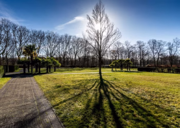 Maand van de begraafplaatsen in Antwerpen