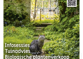 Nieuw najaarsevent helpt bewoners hun stadstuin te vergroenen