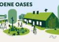 Provincie Antwerpen lanceert ‘Groene Oases op Straat’ voor haar lokale besturen