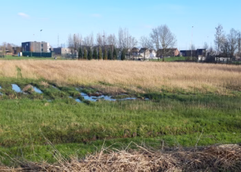 Provincie Antwerpen schorst gemeentelijk RUP Tolhuis in Schelle