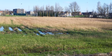 Provincie Antwerpen schorst gemeentelijk RUP Tolhuis in Schelle