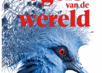 Vogels van de wereld