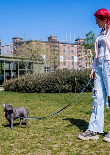Antwerpen lanceert huisdierpas voor snelle hulp bij noodgevallen