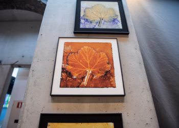 Kunstexpo legt micro-organismen onder de loep