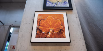 Kunstexpo legt micro-organismen onder de loep