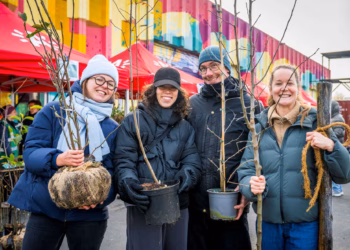 Meer dan 3.500 bomen uitgedeeld voor Antwerpse tuinen