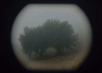 Speelfilmdebuut Why Do I See You In Everything? naar Rotterdam