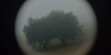 Speelfilmdebuut Why Do I See You In Everything? naar Rotterdam