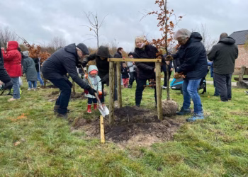Stichting Kempens Landschap en district Borsbeek vieren nieuw leven met aanplant Geboortebos