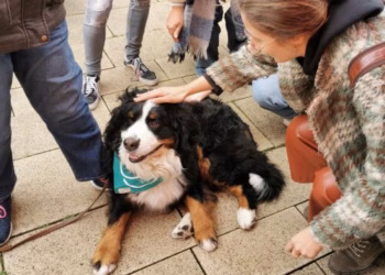 Studenten komen tot rust tijdens een ‘bosbad’