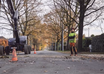 SNOEIWERKEN AAN HISTORISCHE BERENTRODEDREEF: VERSTERKING VAN VEILIGHEID, ERFGOED EN NATUUR
