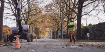SNOEIWERKEN AAN HISTORISCHE BERENTRODEDREEF: VERSTERKING VAN VEILIGHEID, ERFGOED EN NATUUR