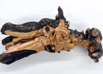 Het Museum Dhondt-Dhaenens  presenteert een grote solotentoonstelling van Edith Dekyndt