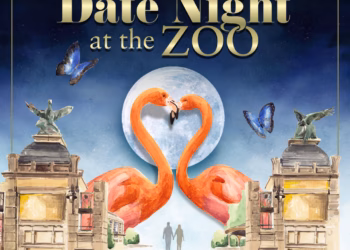 Vier Valentijn met een exclusieve date in ZOO Antwerpen