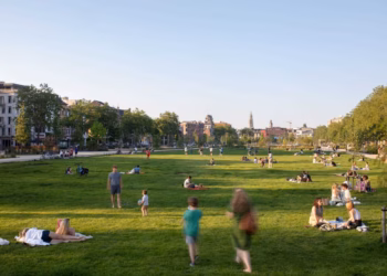 Zuidpark wint Europese Green cities award 2025