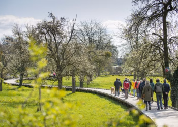 Bloesems in Bilzen-Hoeselt: meer dan 30 redenen om deze lente langs te komen