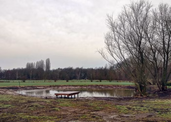 Stichting Kempens Landschap herstelt historische poel in Hove