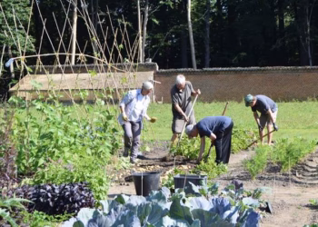 Subsidie van 20.000 euro geeft historisch Hof in Vosselaar groene toekomst