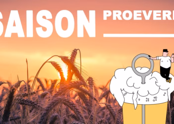 Wat is dat eigenlijk, een saison?