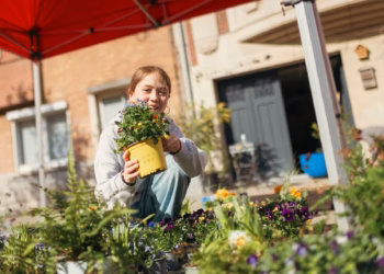 120 straten in district Antwerpen namen deel aan Lenteklaar