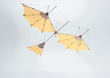 Abby Kortrijk lanceert ‘Abby & Friends’ en nodigt bevriende kunstorganisaties Be-Part en Wit.h uit voor het voorjaarsprogramma