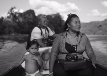 Parasisi geselecteerd voor Hot Docs