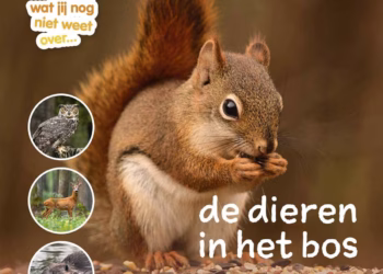 Ik weet, ik weet wat jij nog niet weet over… de dieren in het bos