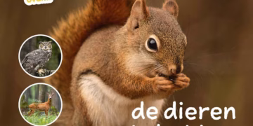 Ik weet, ik weet wat jij nog niet weet over… de dieren in het bos