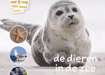 Ik weet, ik weet wat jij nog niet weet over… de dieren in de zee