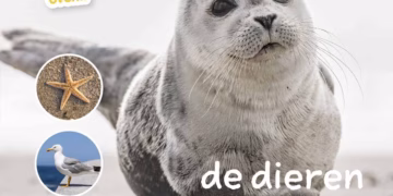 Ik weet, ik weet wat jij nog niet weet over… de dieren in de zee